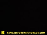 2008 TL Thumbnail 1