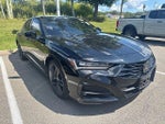 2024 TLX Thumbnail 8