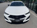 2025 TLX Thumbnail 2