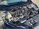 2017 Civic Thumbnail 11