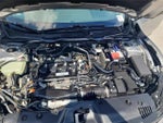 2017 Civic Thumbnail 12