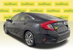 2016 Civic Thumbnail 5