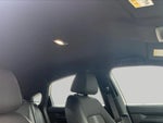 2025 Civic Thumbnail 14