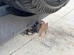 2016 Wrangler Unlimited Thumbnail 14