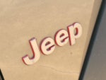 2021 Wrangler Thumbnail 12
