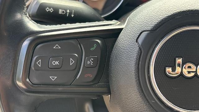2020 Jeep Wrangler Unlimited Black and Tan