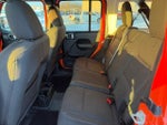 2023 Wrangler Thumbnail 5