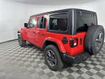 2023 Wrangler Thumbnail 6