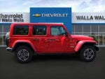 2023 Wrangler Thumbnail 8