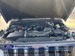 2019 Wrangler Unlimited Thumbnail 14
