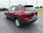 2019 Cherokee Thumbnail 4