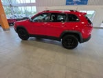 2019 Cherokee Thumbnail 14