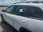 2016 Cherokee Thumbnail 18