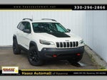 2019 Cherokee Thumbnail 1