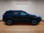 2019 Cherokee Thumbnail 4