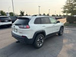 2019 Cherokee Thumbnail 7