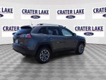 2020 Cherokee Thumbnail 8