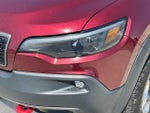 2019 Cherokee Thumbnail 10
