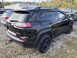 2019 Cherokee Thumbnail 3