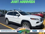 2017 Cherokee Thumbnail 1