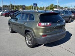 2019 Cherokee Thumbnail 5