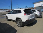 2019 Cherokee Thumbnail 6