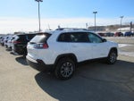 2019 Cherokee Thumbnail 8