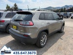 2019 Cherokee Thumbnail 5