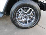 2025 Wrangler Thumbnail 7