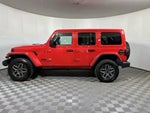2025 Wrangler Thumbnail 5