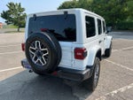 2025 Wrangler Thumbnail 10