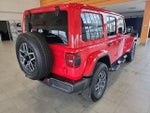 2024 Wrangler Thumbnail 11