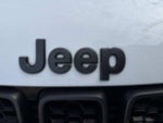 2020 Grand Cherokee Thumbnail 7