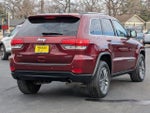 2019 Grand Cherokee Thumbnail 7