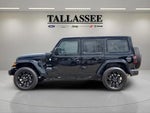2024 Wrangler Thumbnail 10