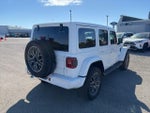 2024 Wrangler Thumbnail 6