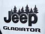 2020 Gladiator Thumbnail 13