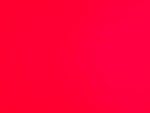 2020 Gladiator Thumbnail 30