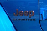 2021 Gladiator Thumbnail 30