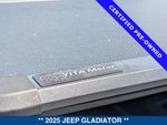 2025 Gladiator Thumbnail 17
