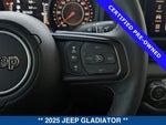 2025 Gladiator Thumbnail 32