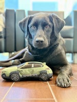 2023 1500 Classic Thumbnail 4