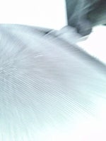 2019 1500 Thumbnail 8