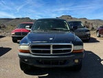2003 Dakota Thumbnail 2