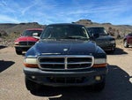 2003 Dakota Thumbnail 3