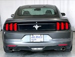 2016 Mustang Thumbnail 4
