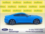 2017 Mustang Thumbnail 2