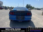 2017 Mustang Thumbnail 6