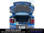 2017 Mustang Thumbnail 10