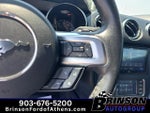 2017 Mustang Thumbnail 19